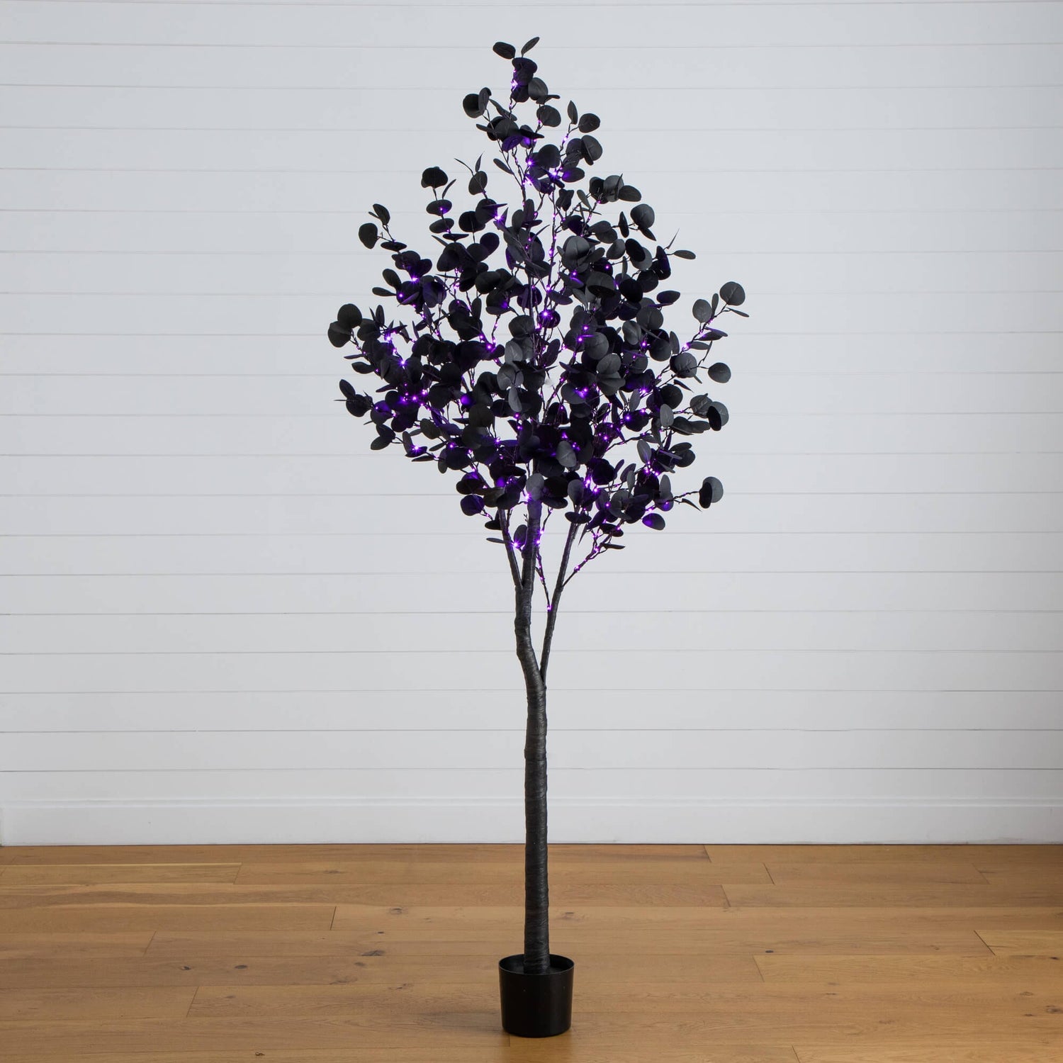 7' Pre-Lit Artificial Halloween Black Eucalyptus Tree with 420 Orange & Purple LED Lights