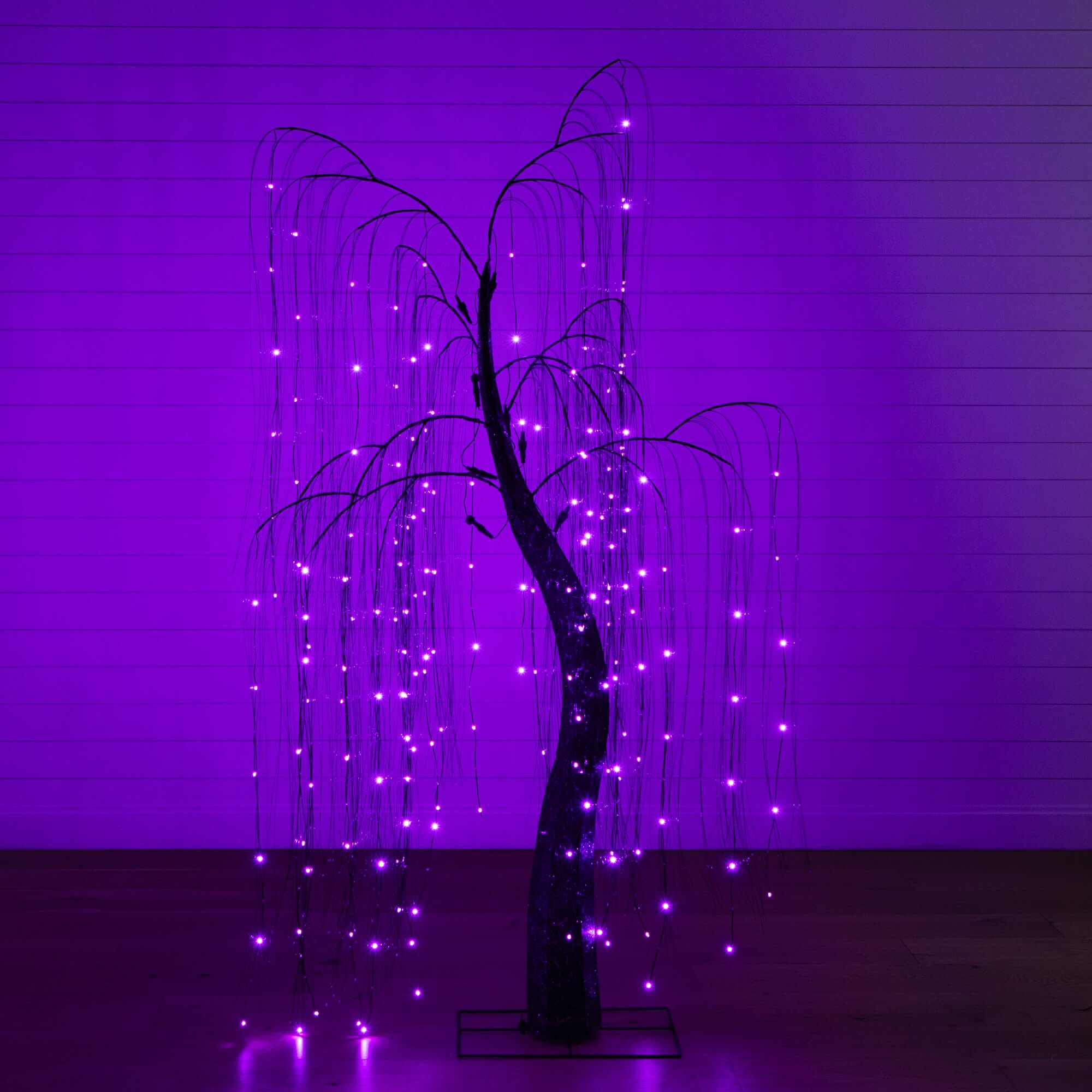 7' Pre-Lit Artificial Halloween Black Willow Tree with 600 Purple