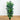 70” Areca Artificial Palm Tree UV Resistant (Indoor/Outdoor)