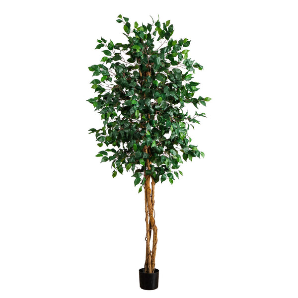 74” Triple Trunk Ficus Artificial Tree with Natural Trunks