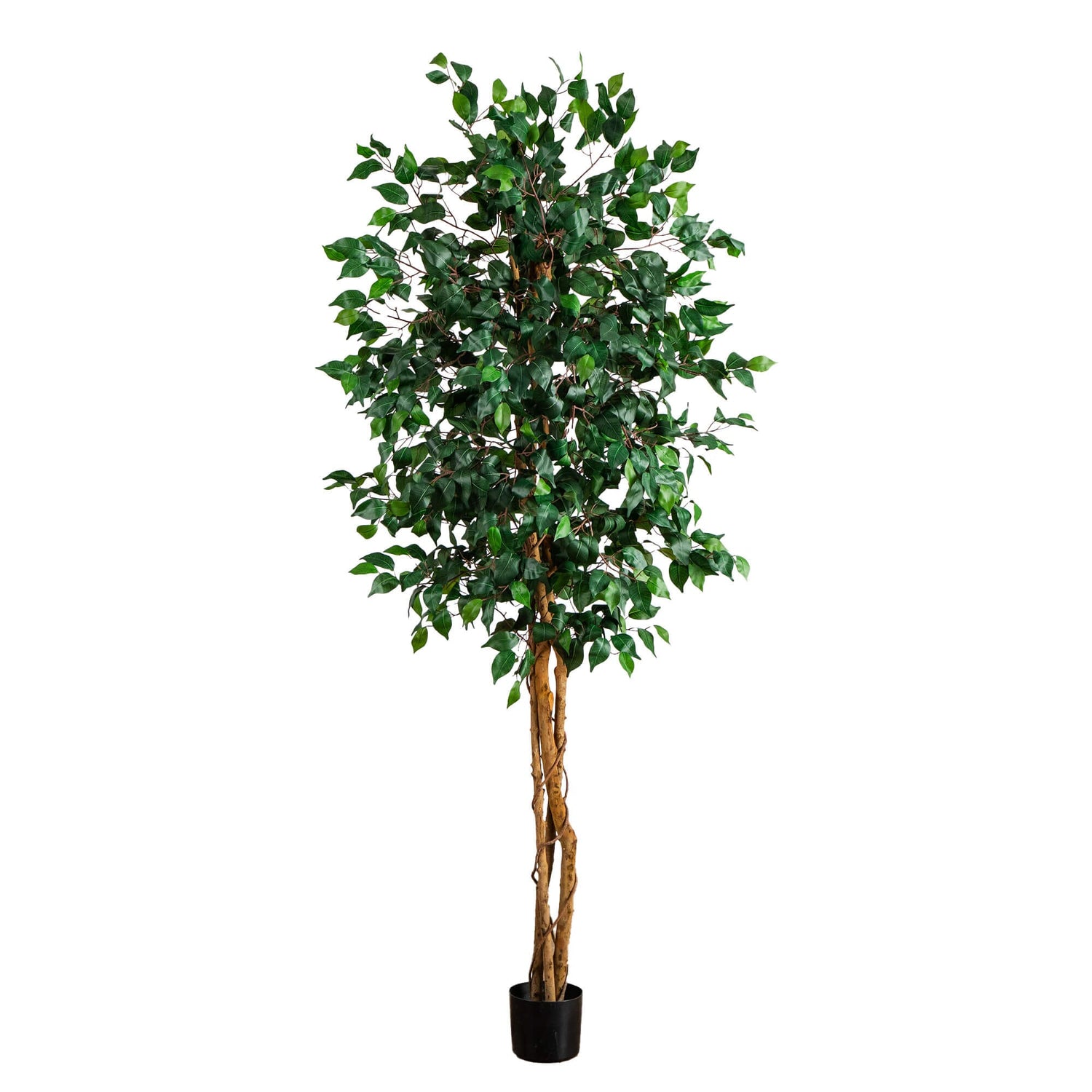 74” Triple Trunk Ficus Artificial Tree with Natural Trunks