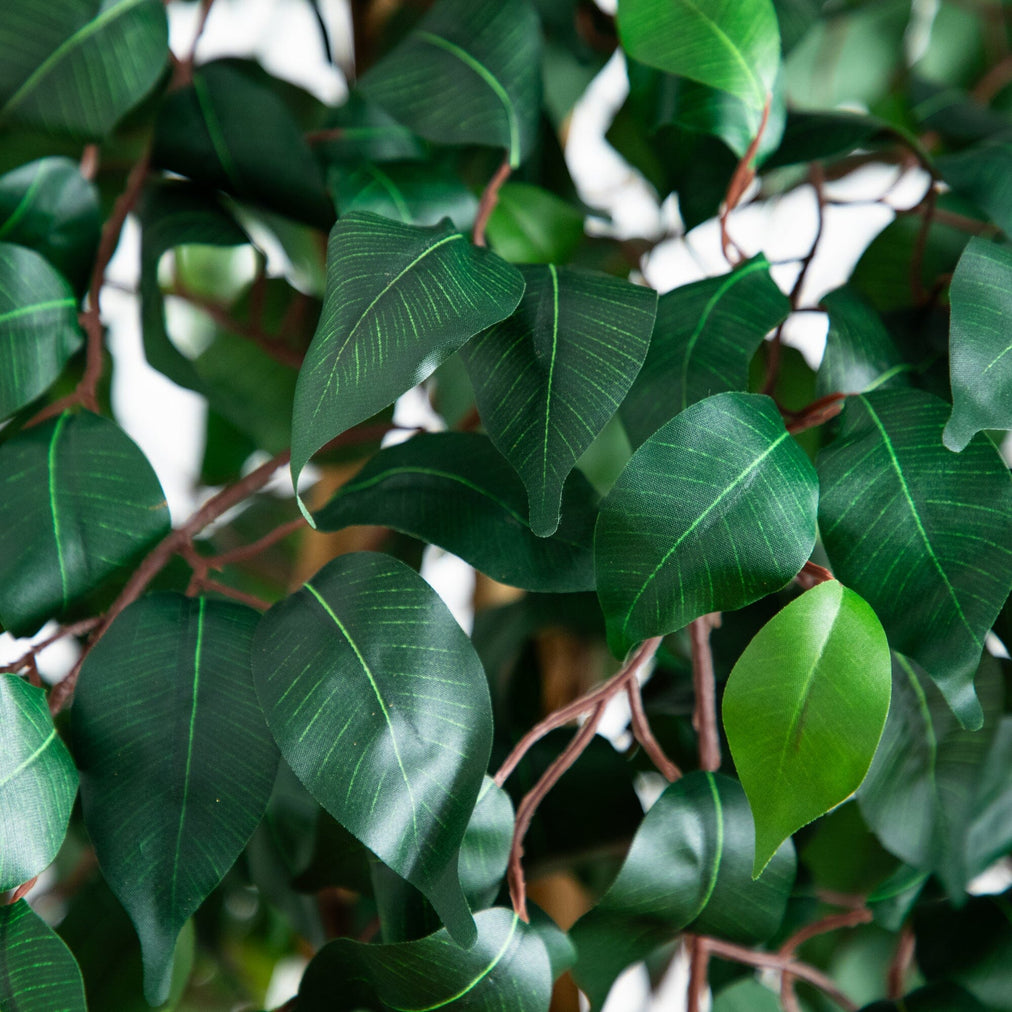 Realistic Foliage
