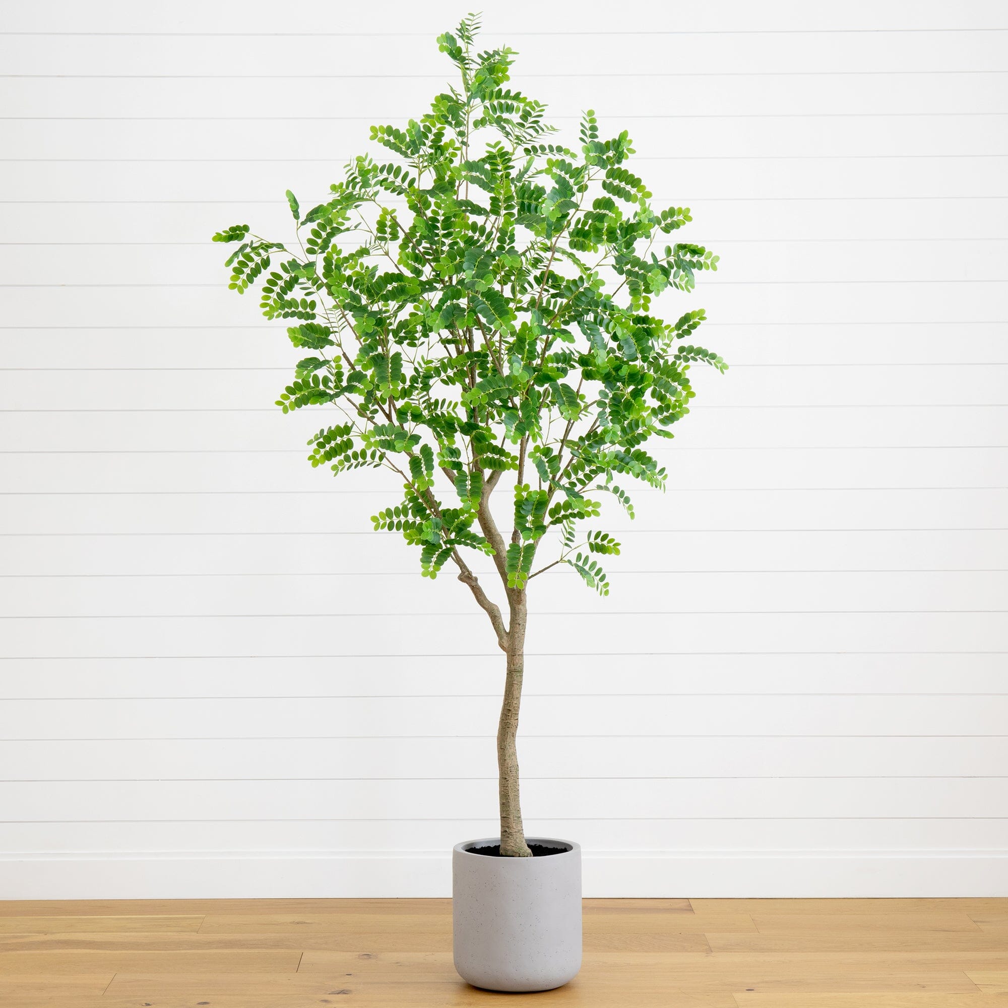 artificial-75-artificial-greco