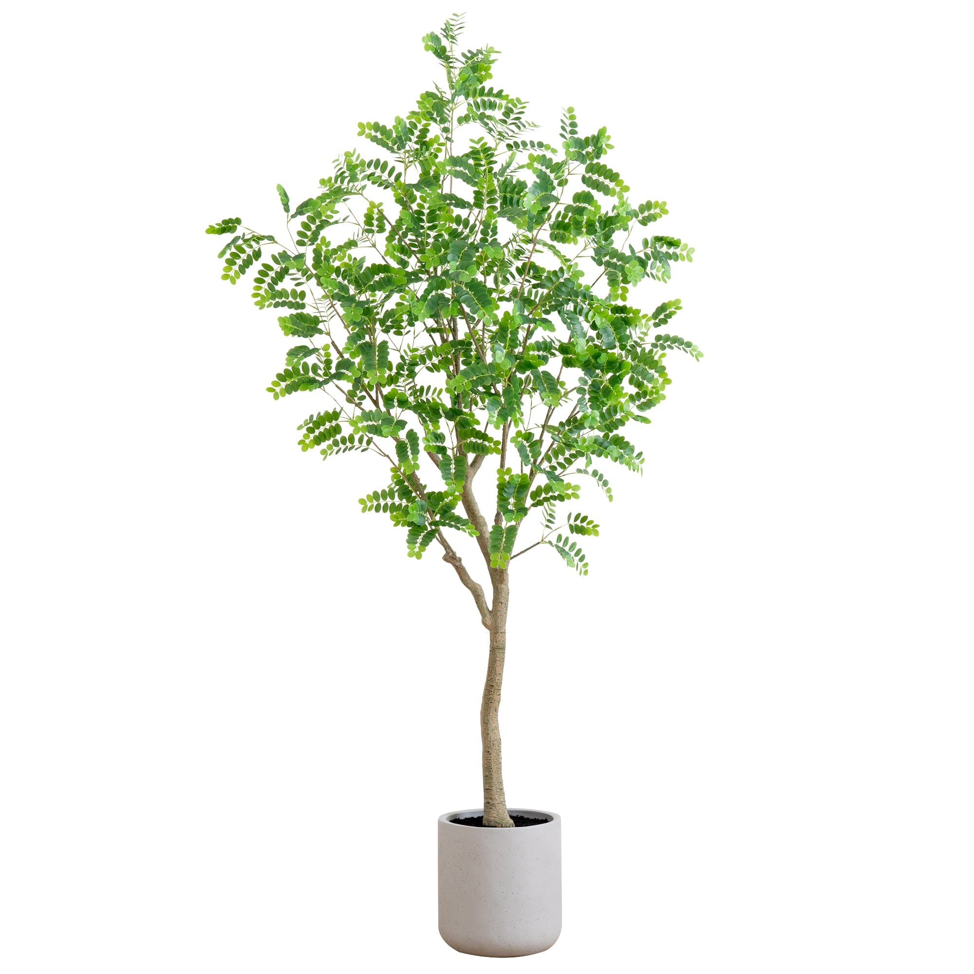 7.5' Artificial Greco Locust Citrus Tree in Decorative Planter