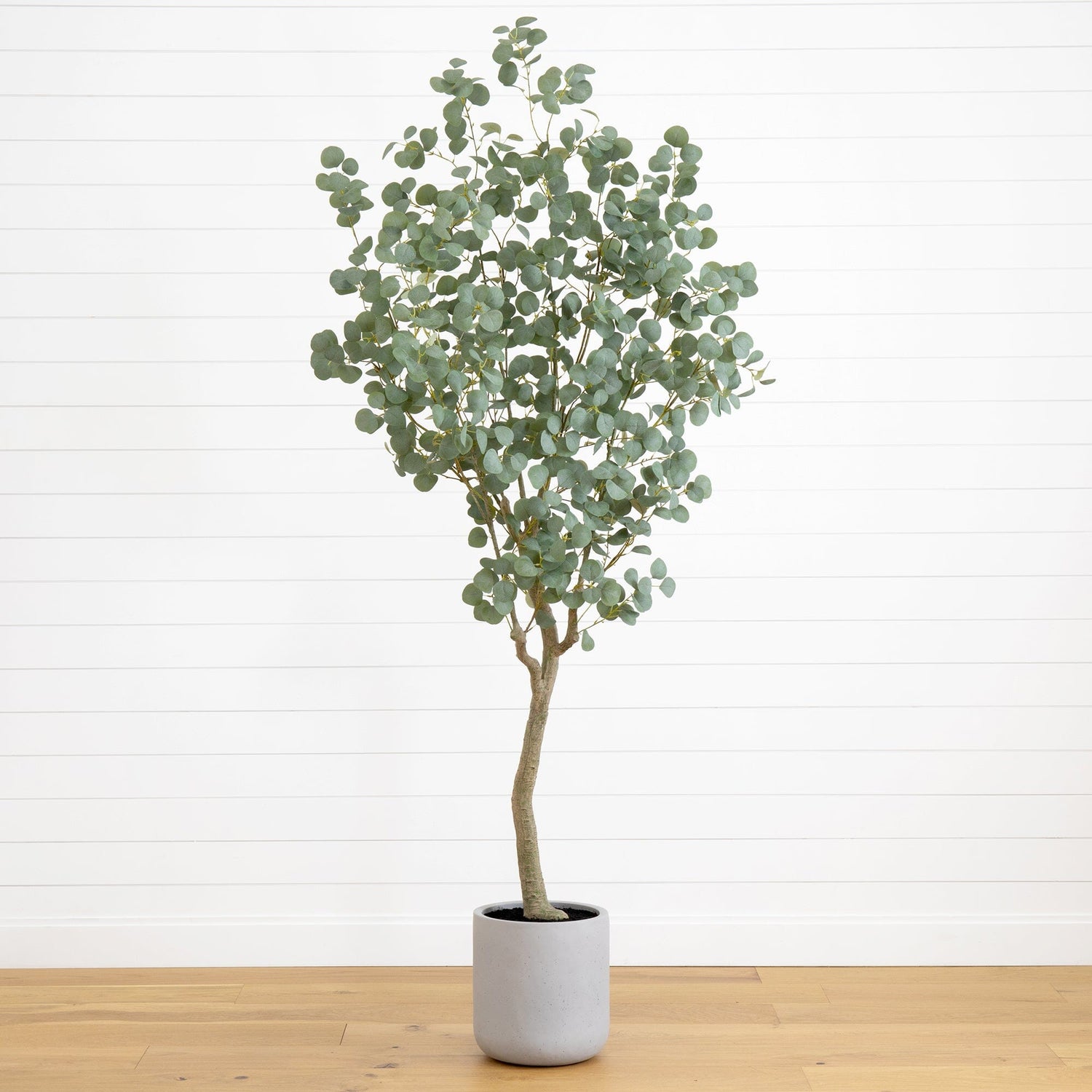 7.5’ Artificial Greco Eucalyptus Tree with Resin Stone Planter