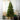 Traditional Christmas Trees