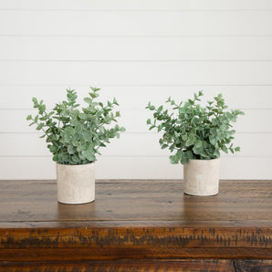 8" Artificial Baby Blue Eucalyptus in Decorative Planter - Set of 2