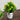 8” Artificial Blooming Plant in Rustic Flowers & Garden Planter -Set of 3
