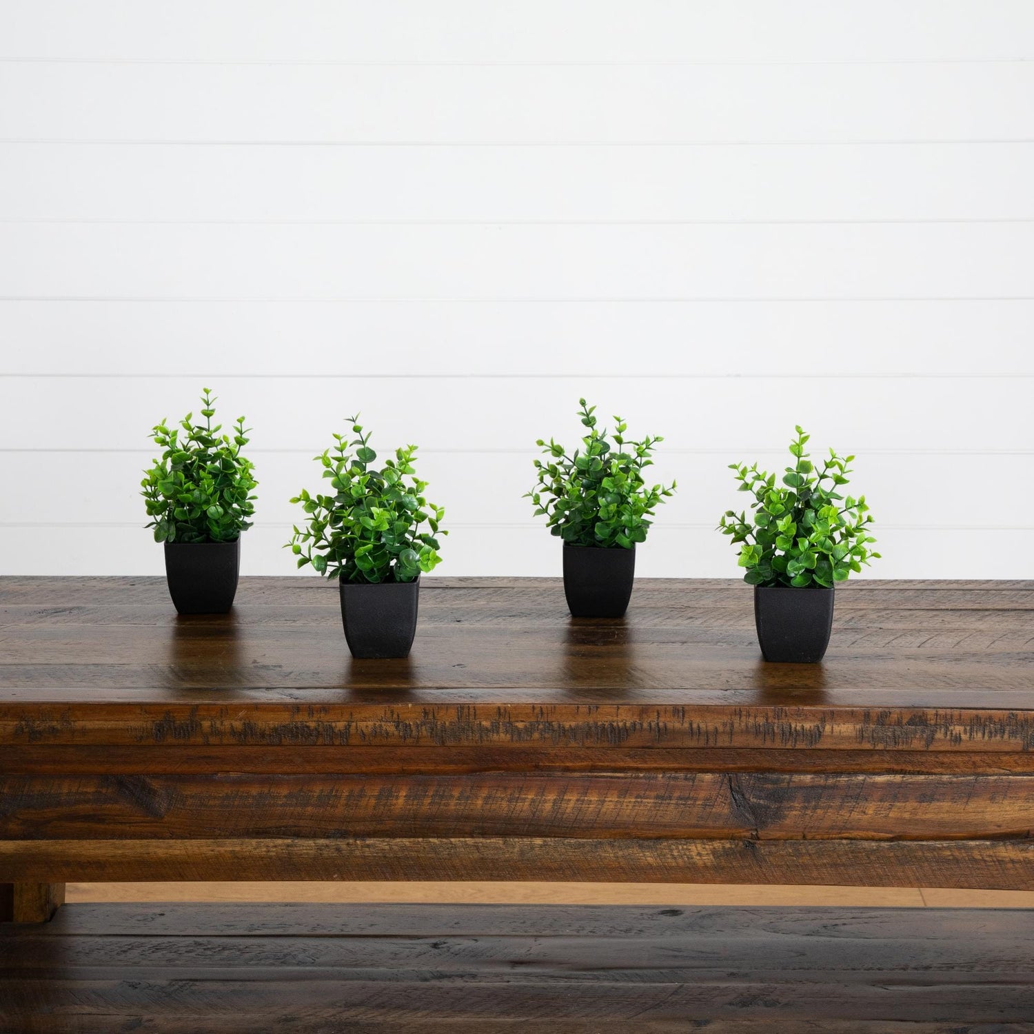 8” Artificial Boxwood in Black Square Pot - Set of 4