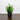 8” Artificial Boxwood in Black Square Pot - Set of 4
