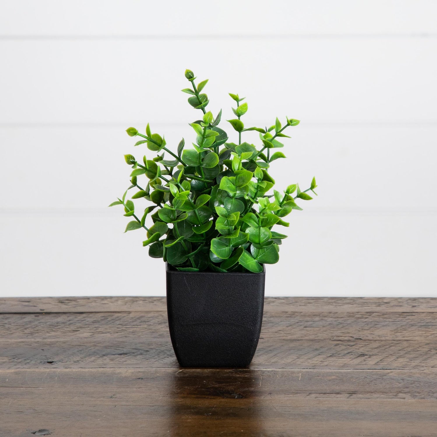 8” Artificial Boxwood in Black Square Pot - Set of 4