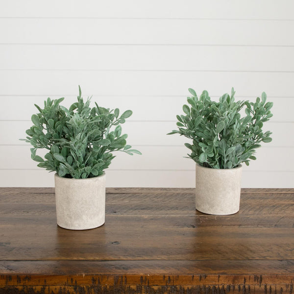 8" Artificial Boxwood in Decorative Planter - Set of 2