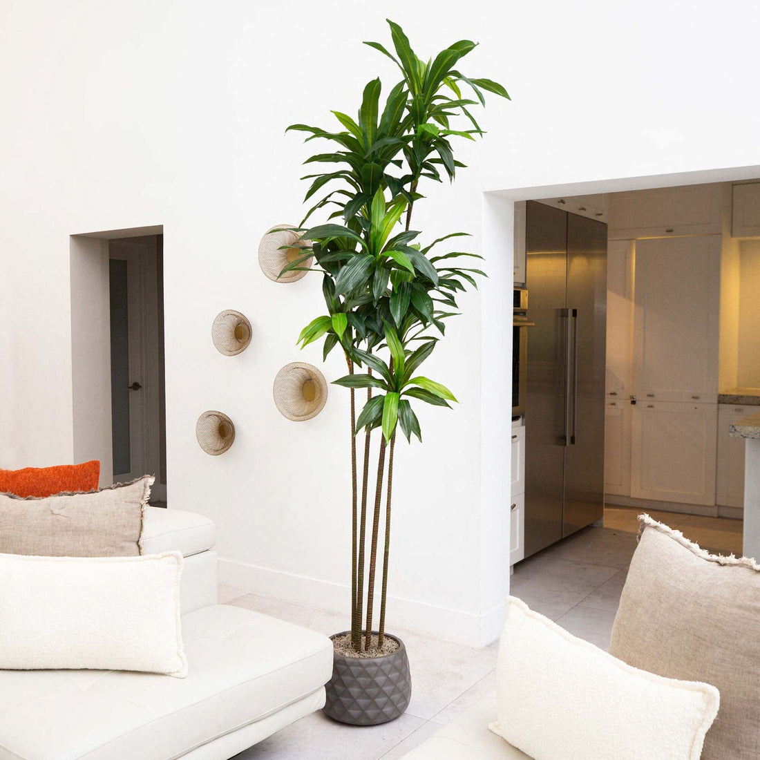 Nearly Natural 8ft. Artificial Dracaena Tree with Real Touch Leaves