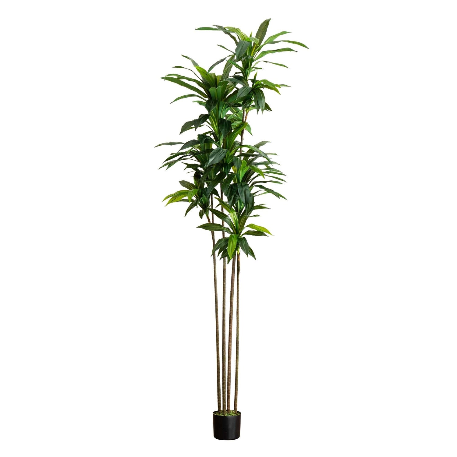 8’ Artificial Dracaena Tree with Real Touch Leaves