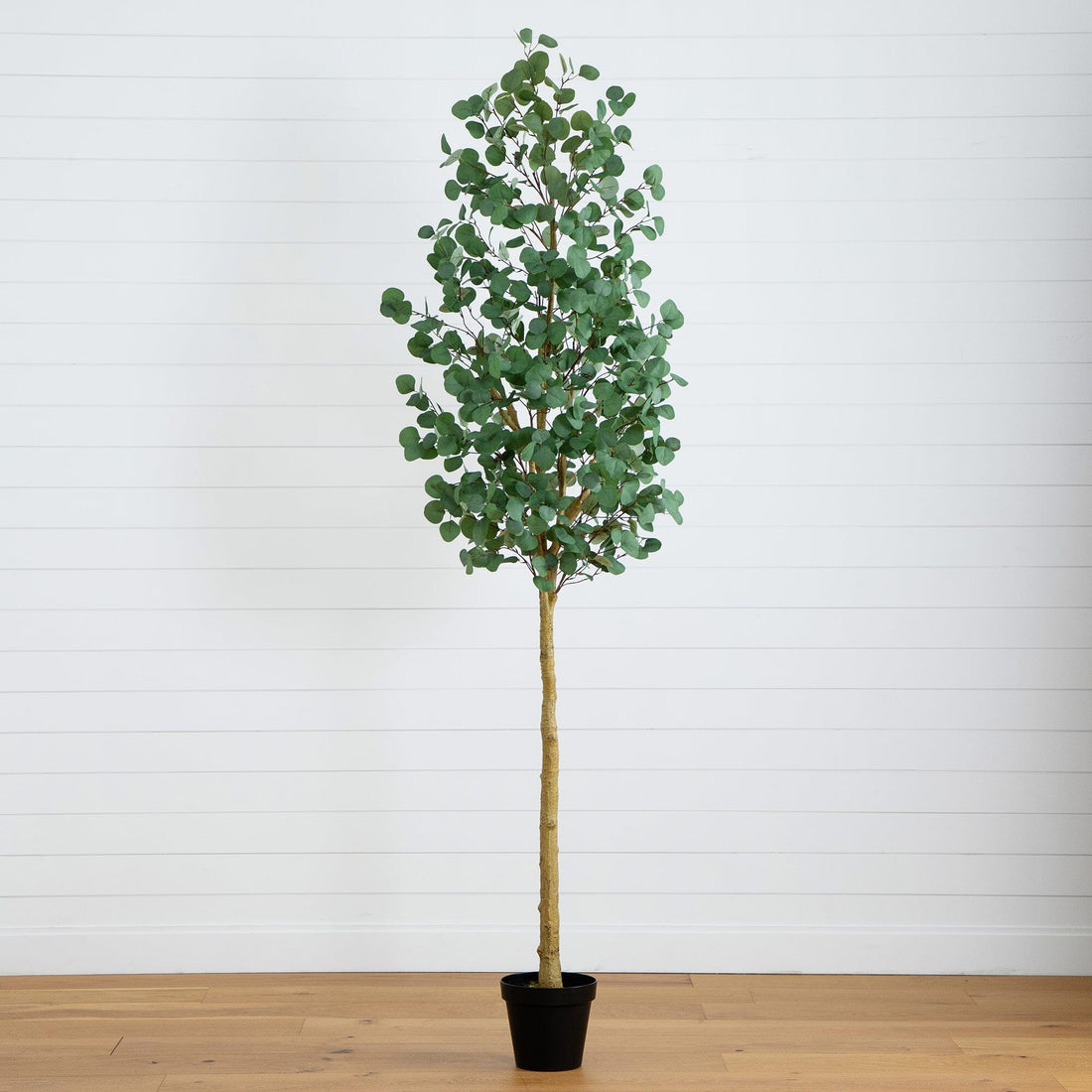 faux eucalyptus plant in pot 8’ Artificial Eucalyptus Tree