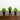 8” Artificial Evergreen Boxwood Plant in Black Square Pot - Set of 3