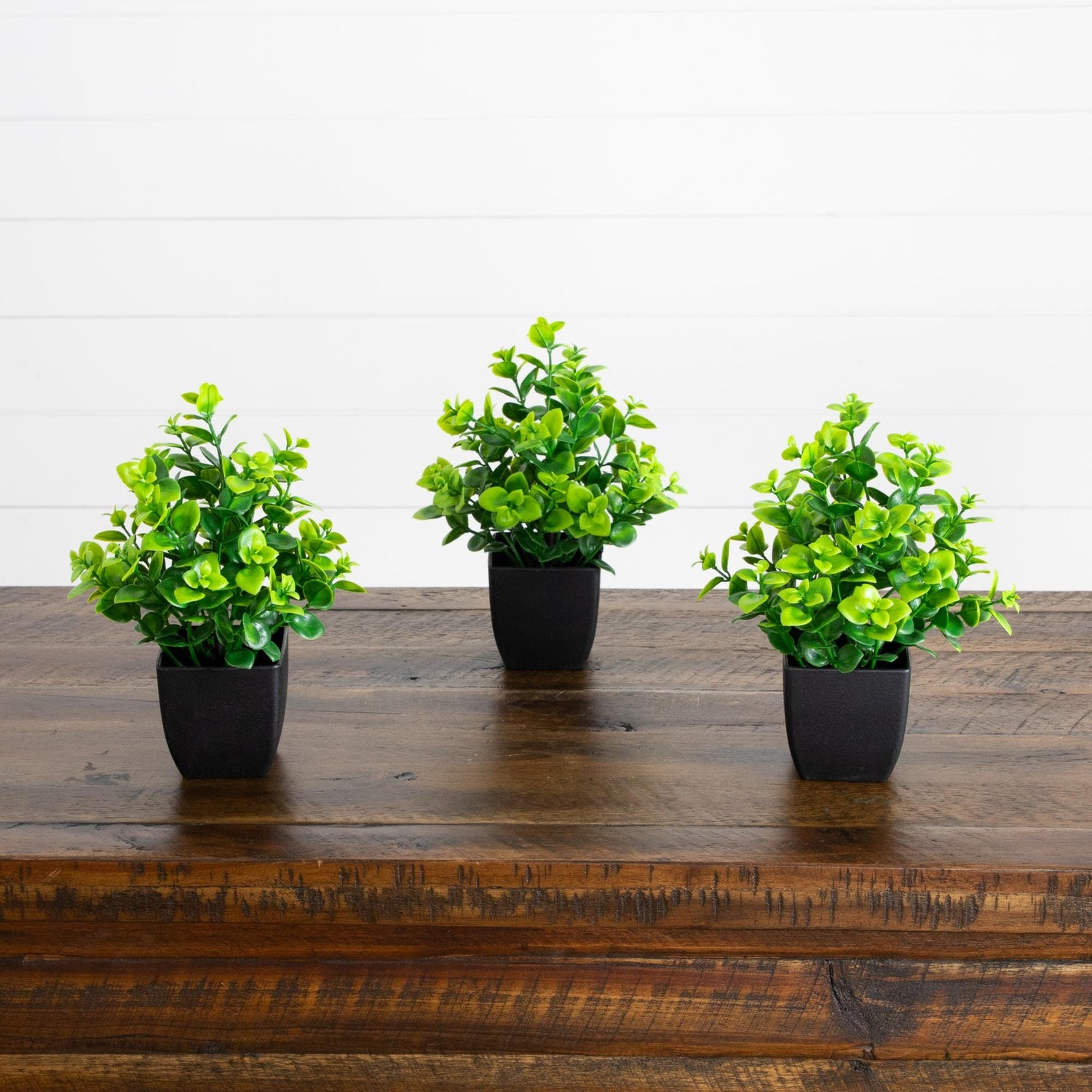8” Artificial Evergreen Boxwood Plant in Black Square Pot - Set of 3
