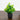 8” Artificial Evergreen Boxwood Plant in Black Square Pot - Set of 3