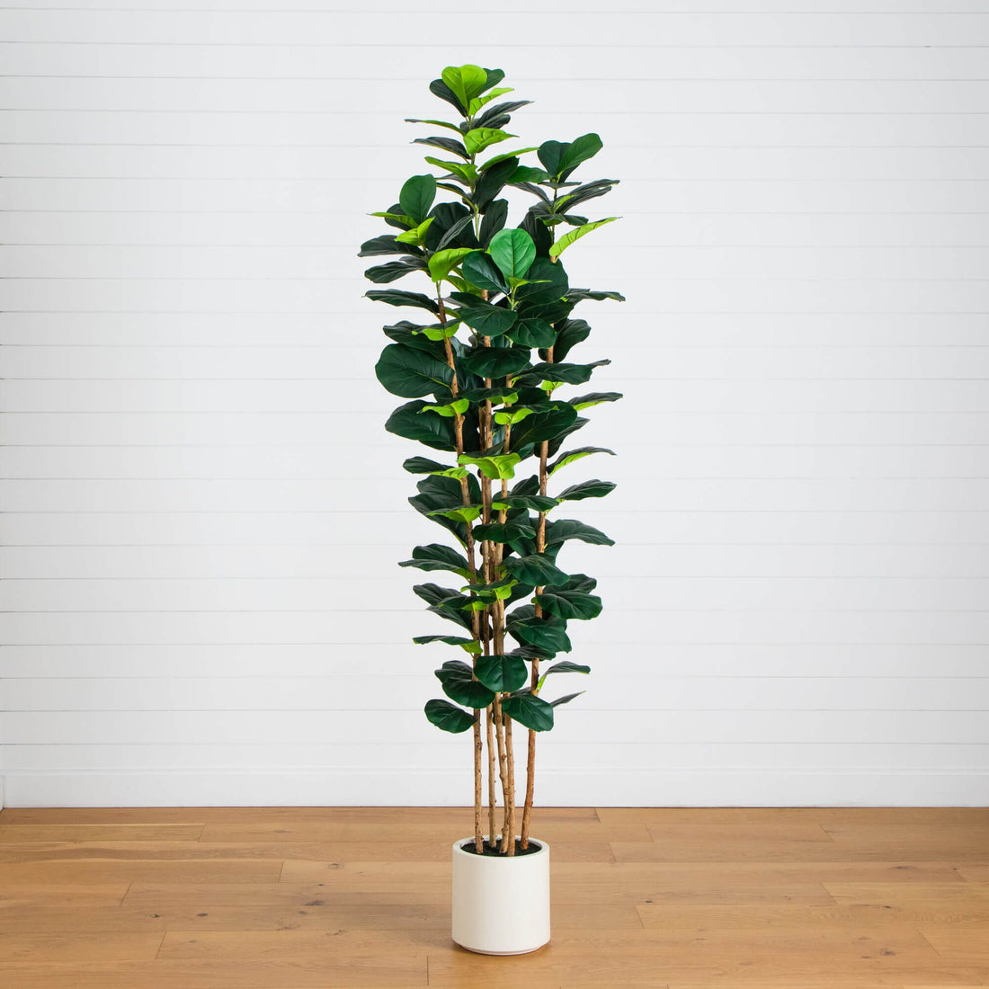 8 leaf pot plant 8' Artificial Fiddle Leaf Tree in Decorative White Planter