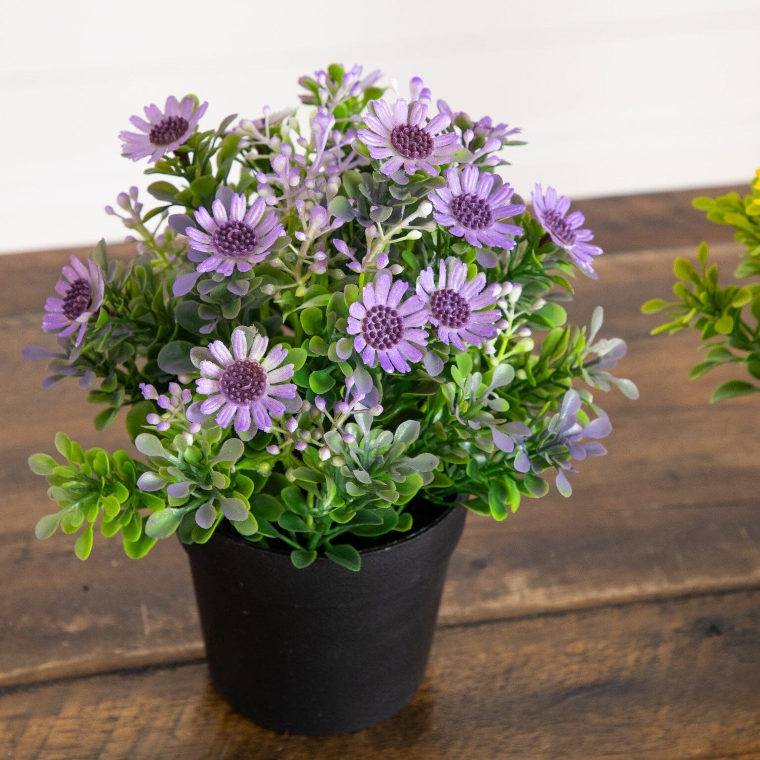 8" Artificial Flowering Daisy in Black Pot - Set of 3