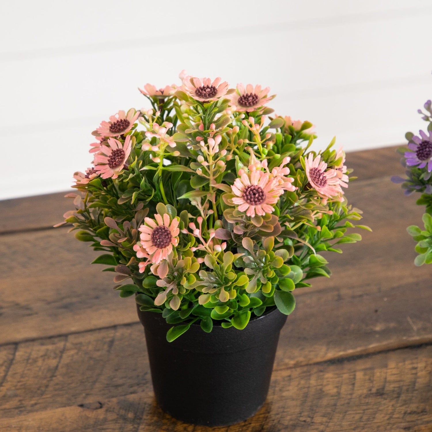 8" Artificial Flowering Daisy in Black Pot - Set of 3
