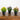 8" Artificial Flowering Daisy in Black Pot - Set of 3