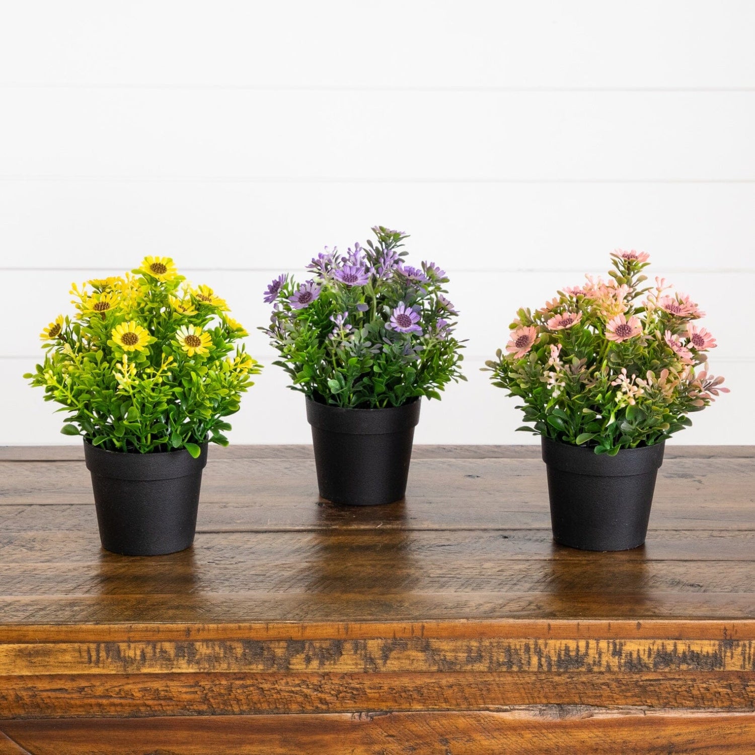 8" Artificial Flowering Daisy in Black Pot - Set of 3