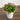 8” Artificial Flowering Plant in Rustic Flowers & Garden Planter -Set of 3