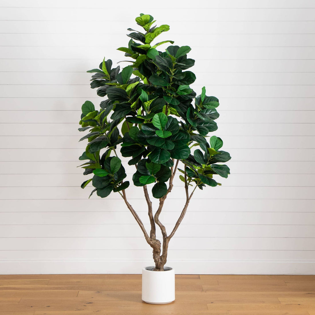 fiddle leaf fig christmas tree 8’ Artificial Grand Fiddle Leaf Tree in White Decorative Planter