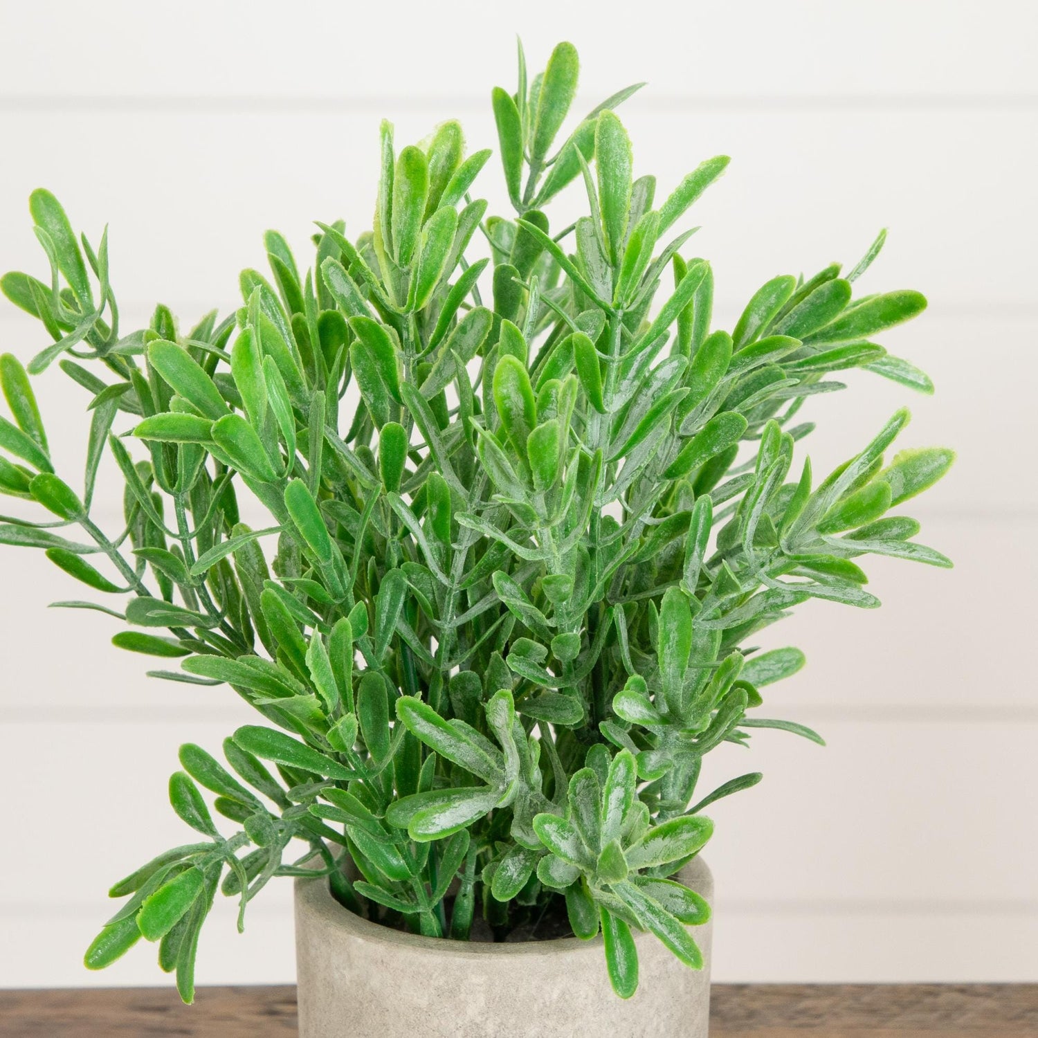 8" Artificial Grass Plant in Decorative Planter - Set of 3