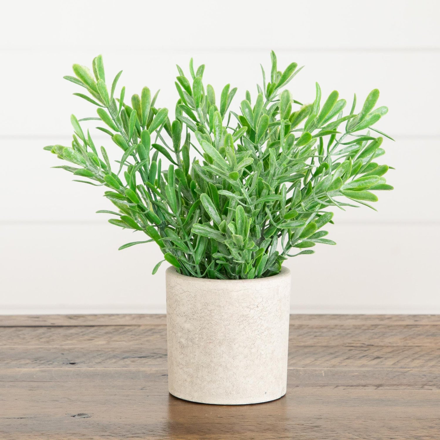 8" Artificial Grass Plant in Decorative Planter - Set of 3