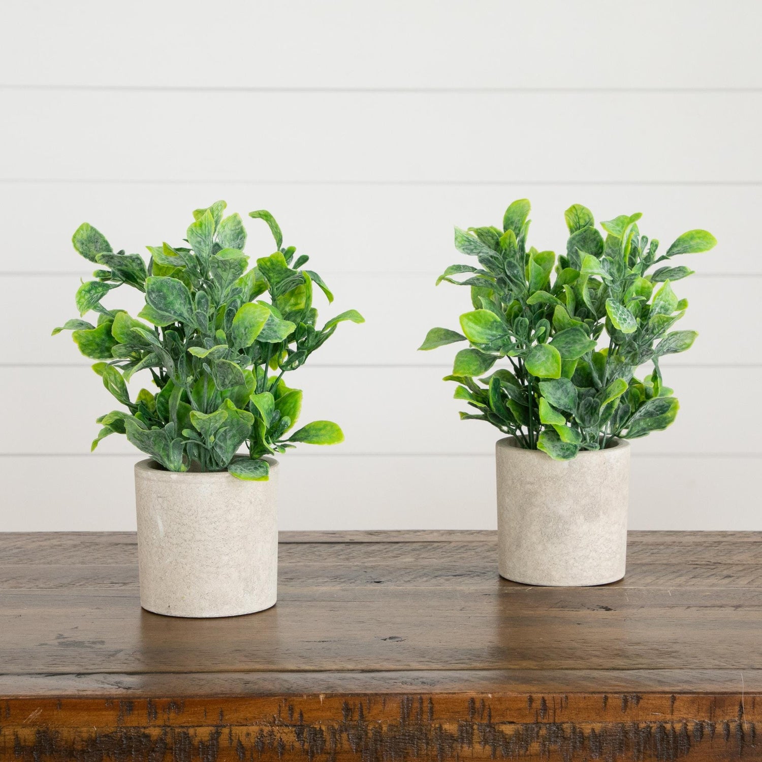 8" Artificial Greenery in Decorative Planter - Set of 2