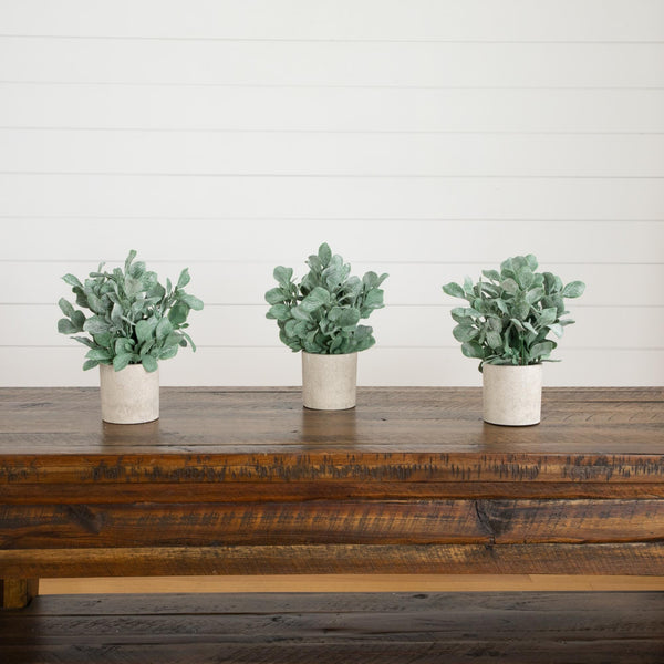 8" Artificial Lambs Ear in Decorative Planter - Set of 3