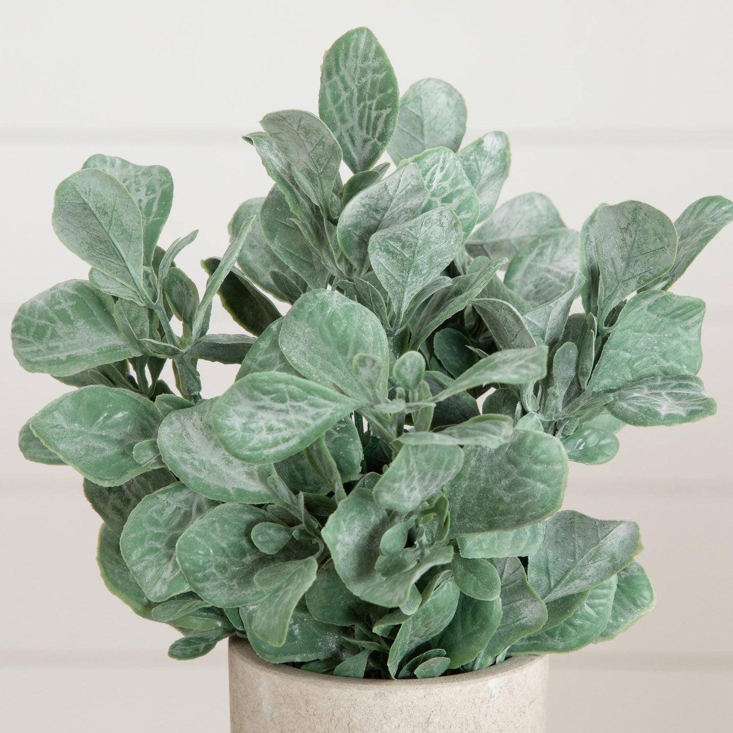 8" Artificial Lambs Ear in Decorative Planter - Set of 3