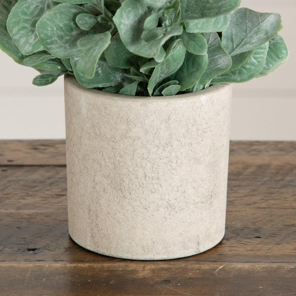 8" Artificial Lambs Ear in Decorative Planter - Set of 3