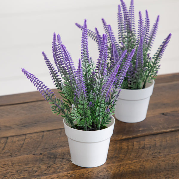 8” Artificial Lavender Plant in White Pot - Set of 4