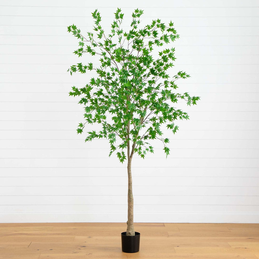 green maple tree indoor plant 8' Artificial Maple Tree