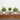8” Artificial Mini Greenery Potted Plant - Set of 3
