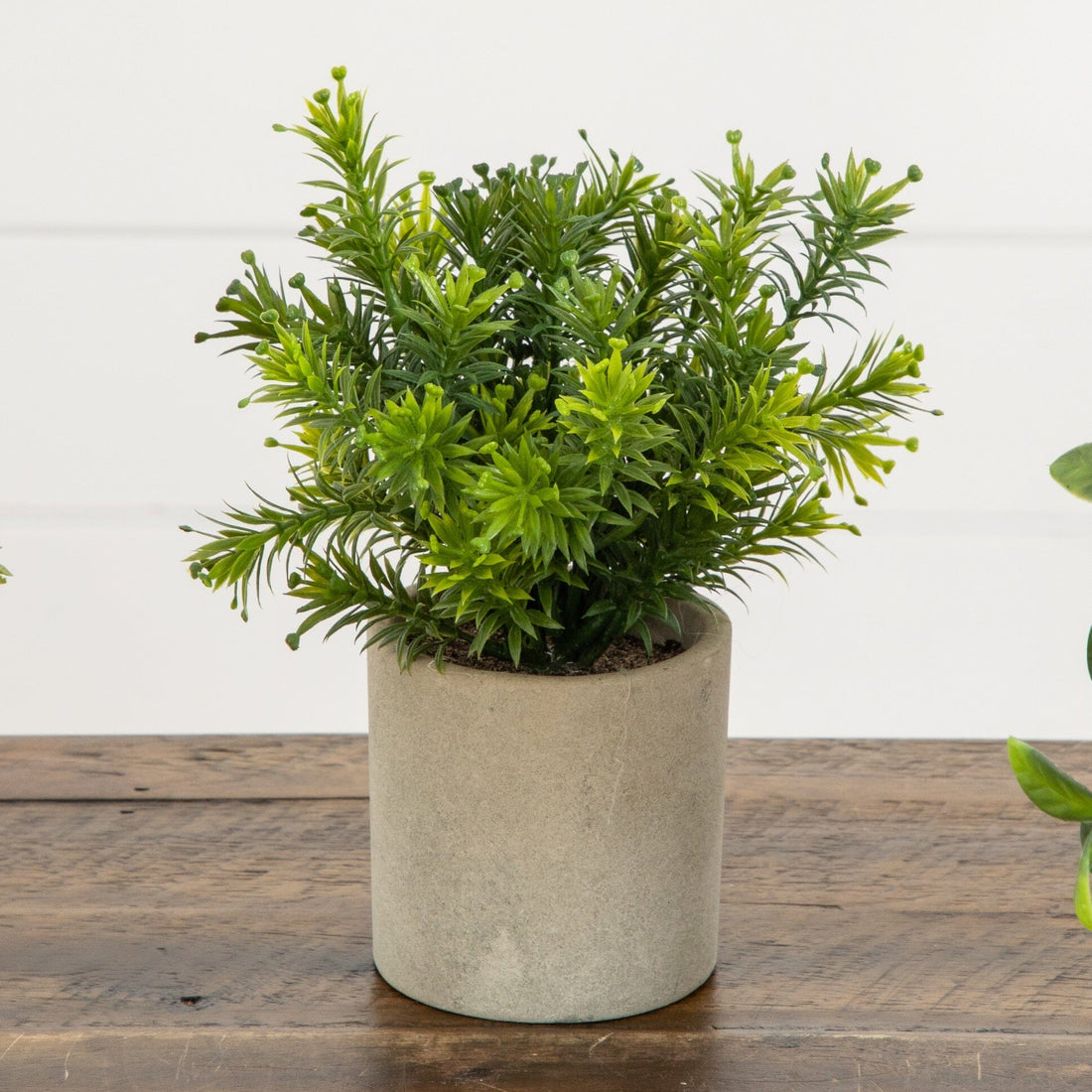 natural pot plant 8” Artificial Mini Greenery Potted Plant