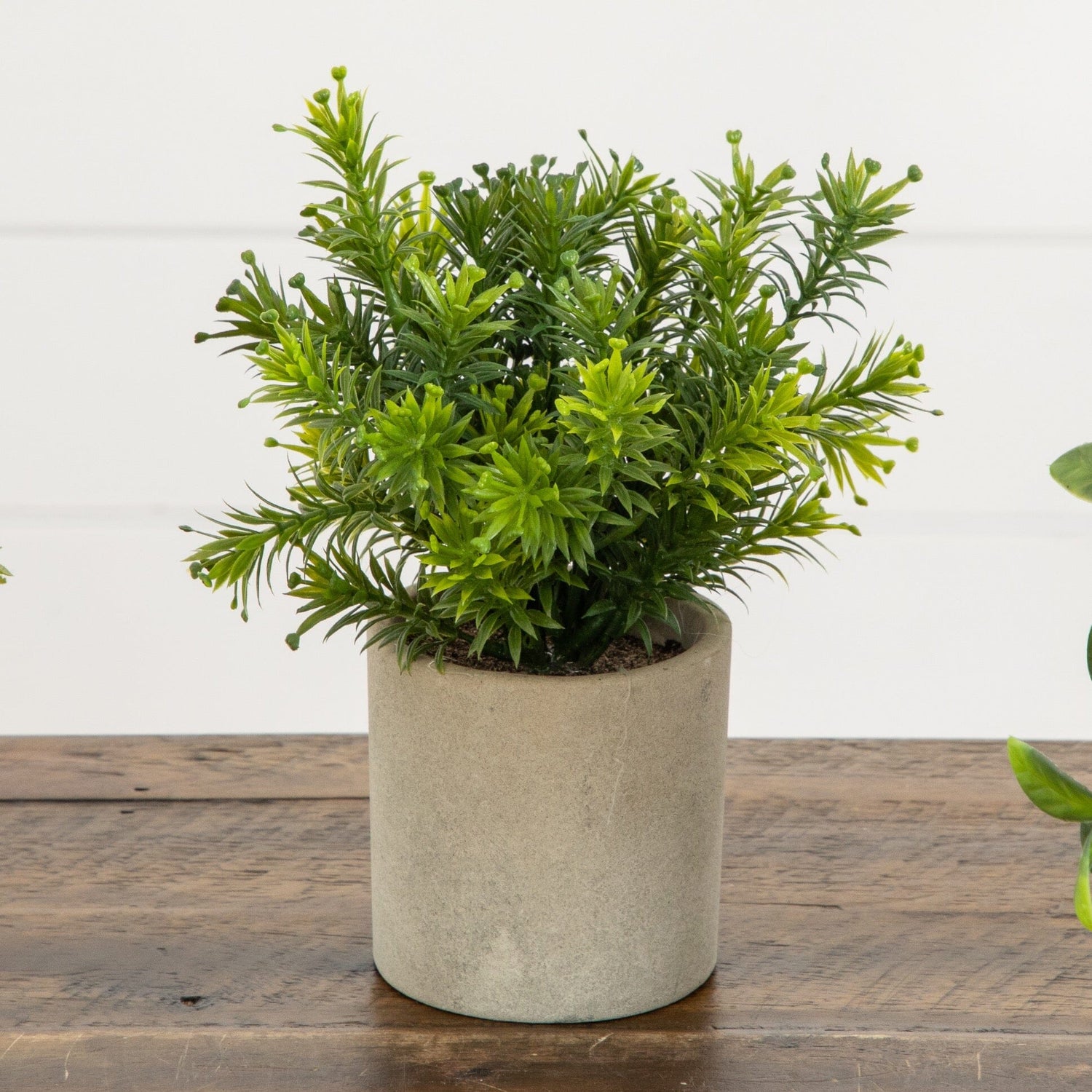 8” Artificial Mini Greenery Potted Plant - Set of 3