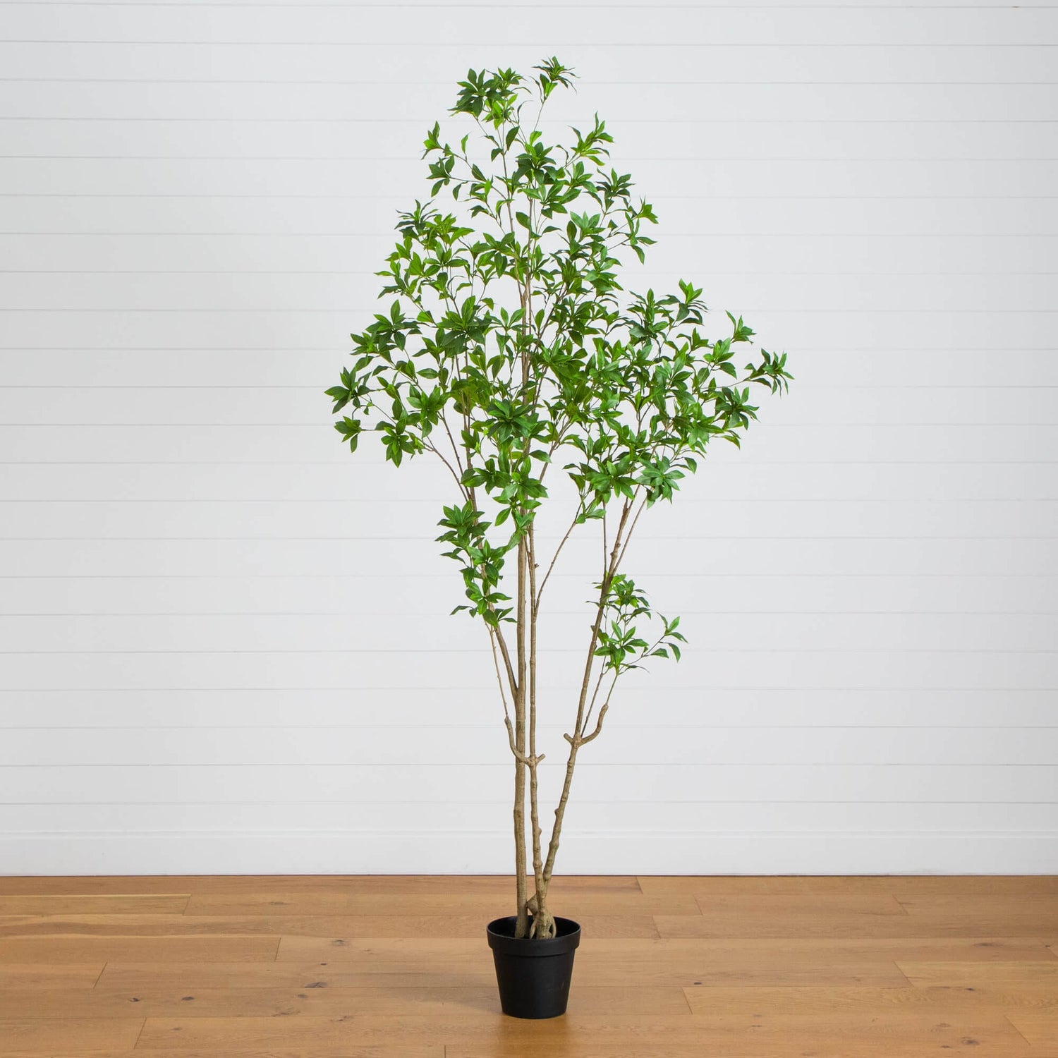 8' Artificial Minimalist Japanese Pieris Tree