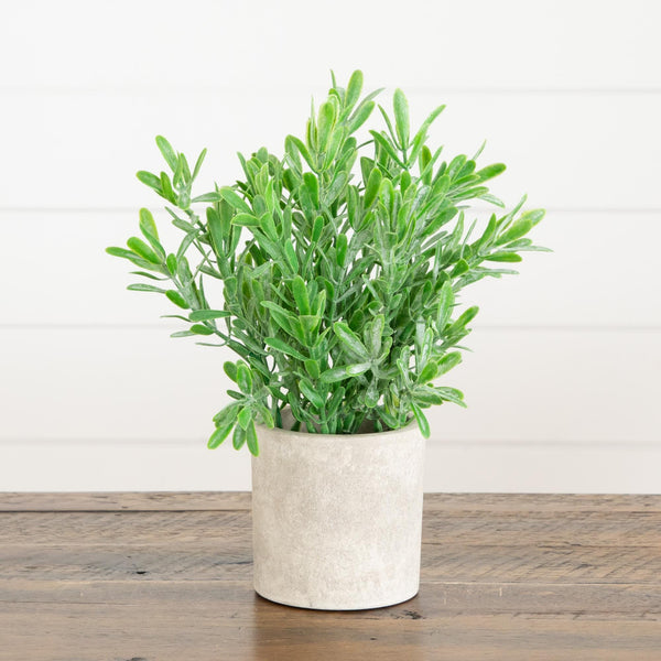 8" Artificial Mixed Plant in Decorative Planter - Set of 3