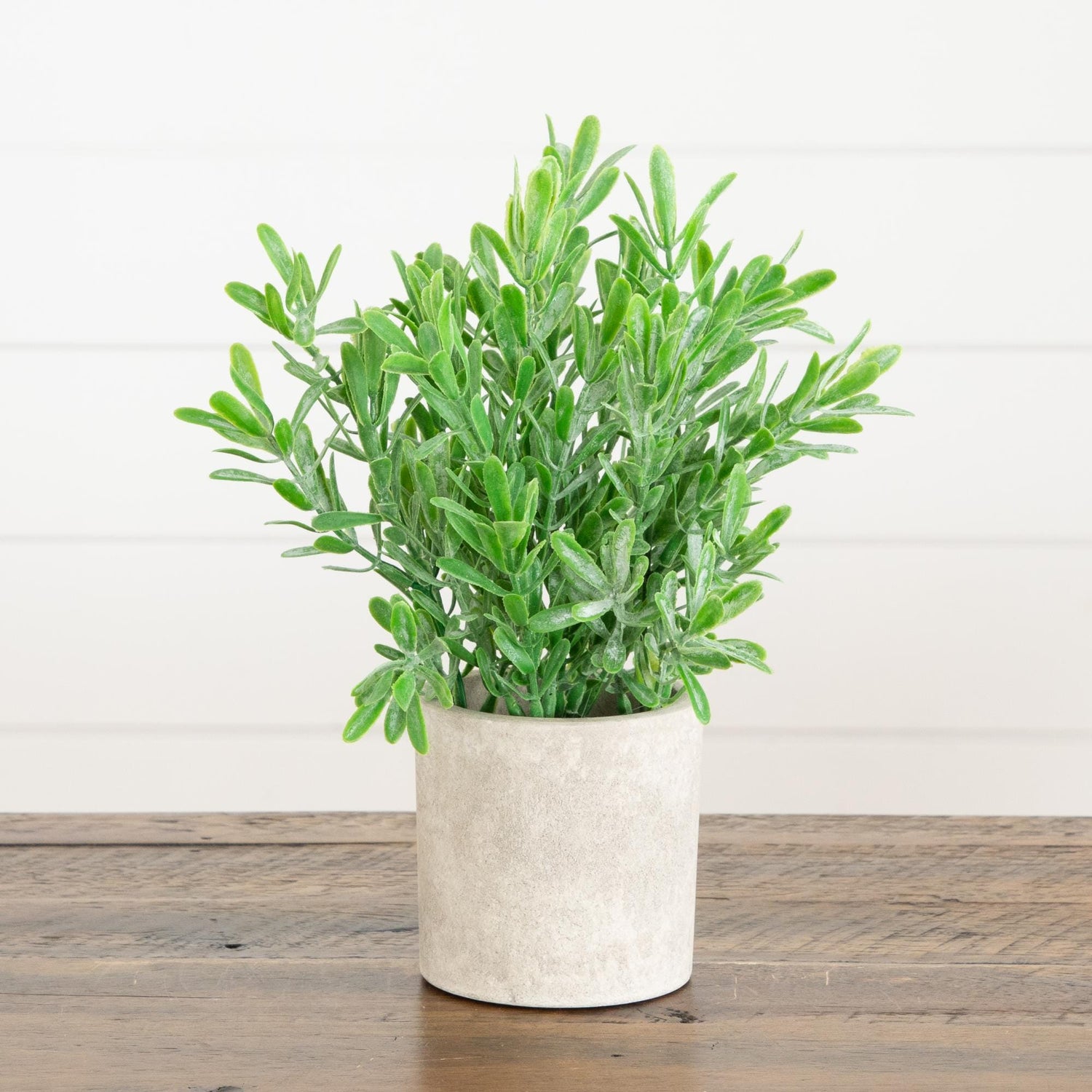 8" Artificial Mixed Plant in Decorative Planter - Set of 3