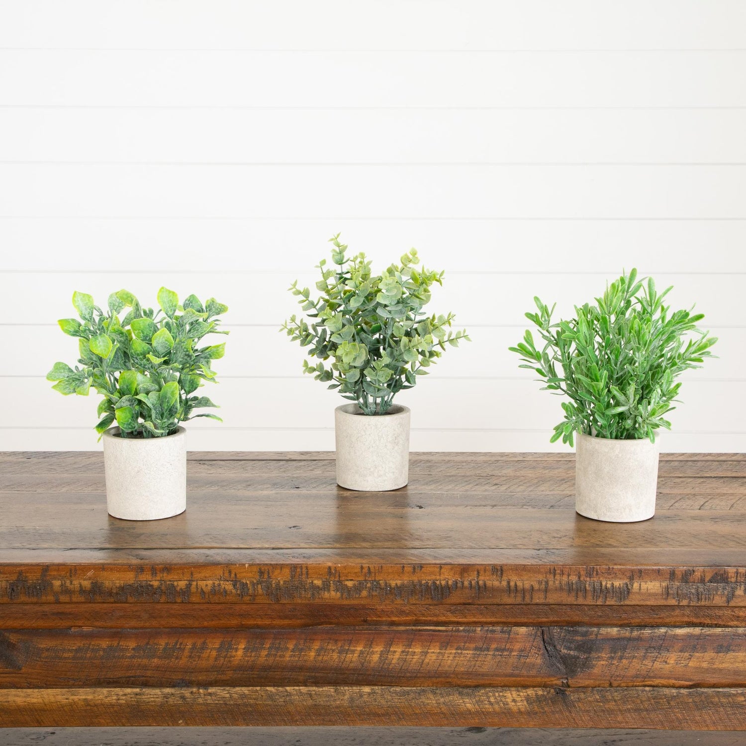 8" Artificial Mixed Plant in Decorative Planter - Set of 3