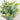 8" Artificial Mixed Plant in Decorative Planter - Set of 3