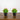 8” Artificial Red Pepper Plant - Set of 2
