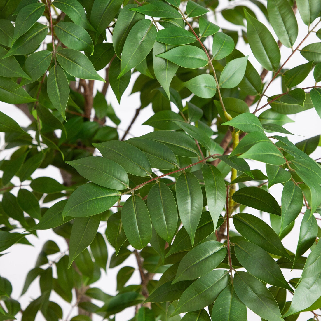 8' Artificial Sumac Tree | Nearly Natural