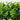 8” Eucalyptus Artificial Plant in Decorative Planter