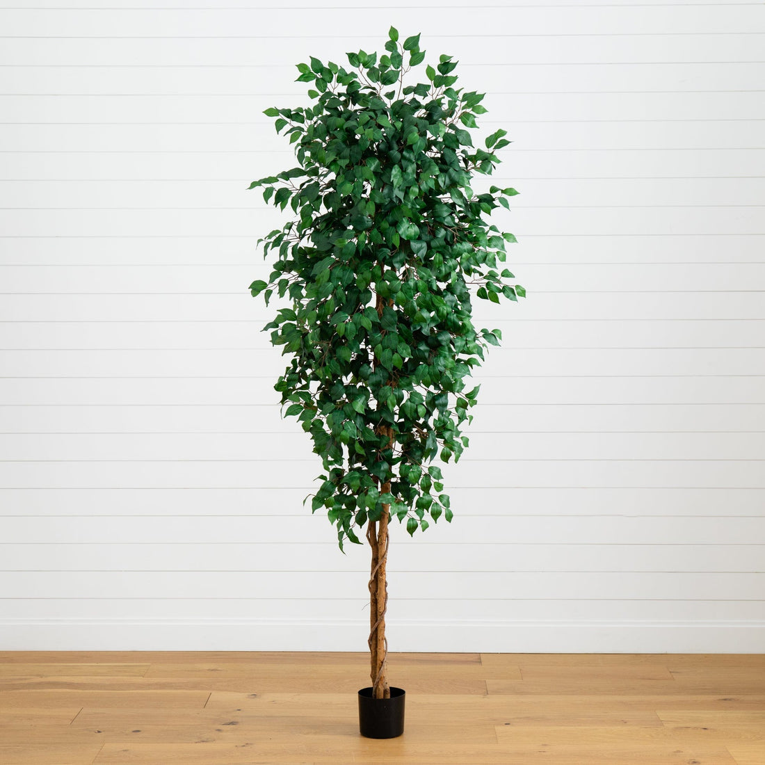 8' Ficus Tree w/1512 Lvs | Nearly Natural