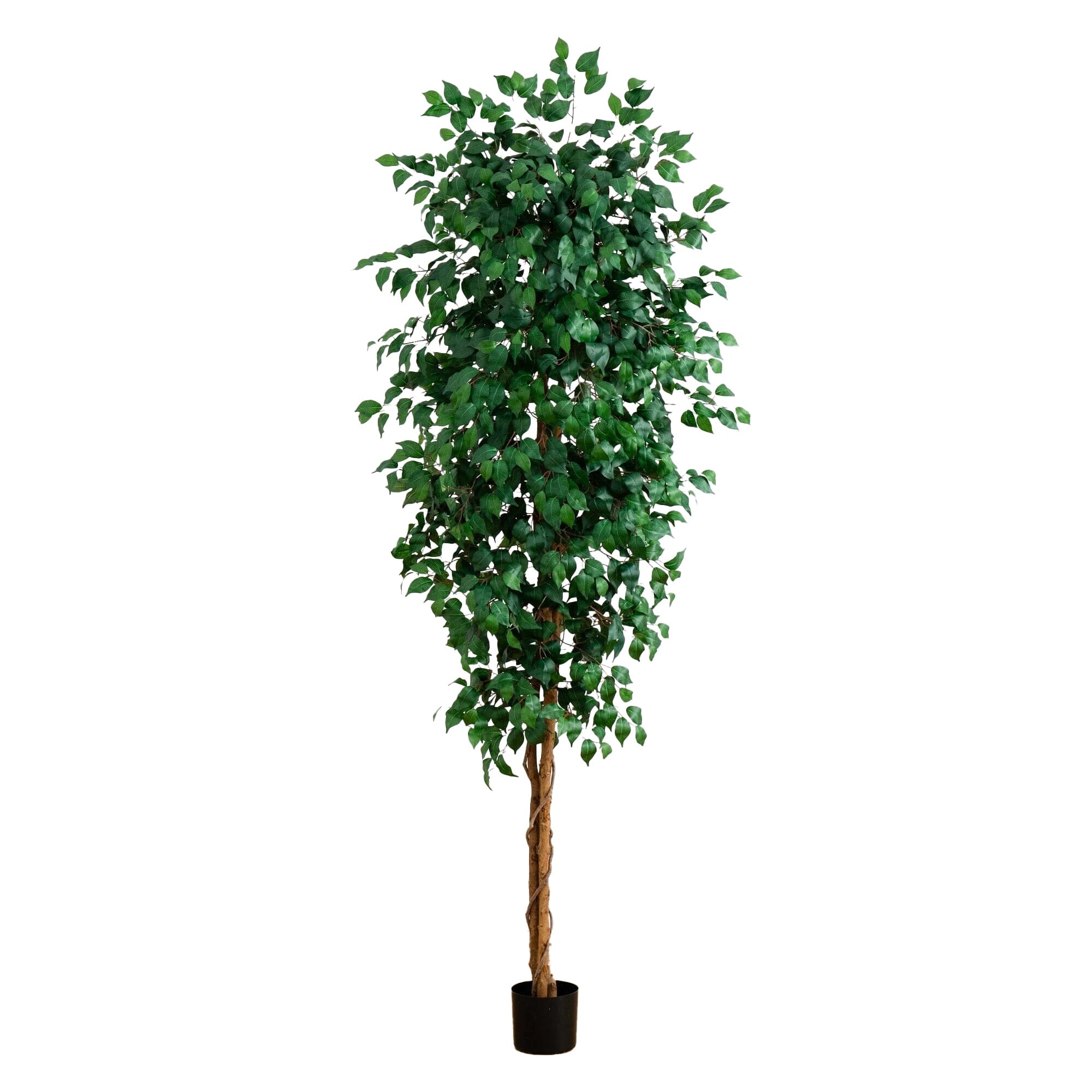 【FICUS】 8' Ficus Tree w/1512 Lvs | Nearly Natural